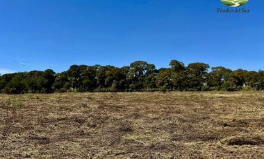 Terreno en Longchamps