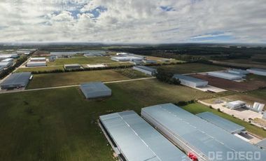 Deposito en Alquiler y venta 6000 m2 en Polo Industrial Ezeiza, GBA Sur