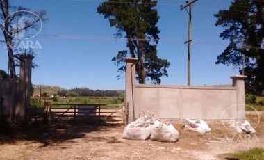 Campo en Sierra de los padres
