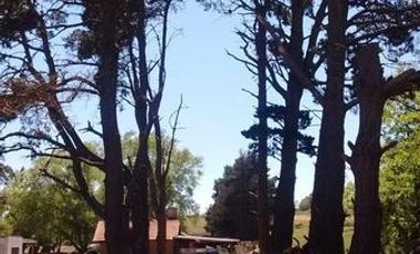 Campo en Sierra de los padres
