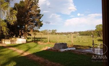 Campo en Sierra de los padres