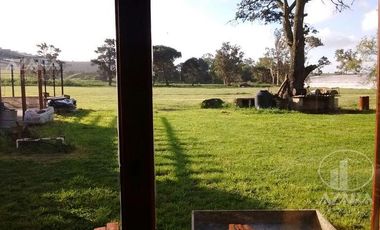 Campo en Sierra de los padres