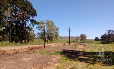 Campo en Sierra de los padres