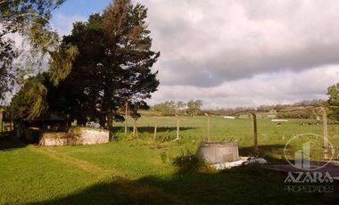 Campo en Sierra de los padres