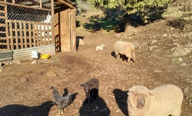 Chacra en El Hoyo- Chubut.