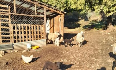 Chacra en El Hoyo- Chubut.