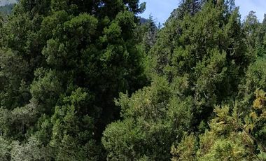Chacra en El Hoyo- Chubut.