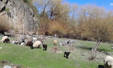 Chacra en El Hoyo- Chubut.