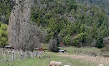 Chacra en El Hoyo- Chubut.