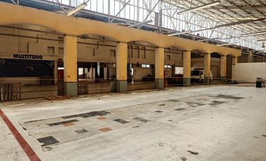 Bodega Villa Gustavo A Madero - 7,980 m2