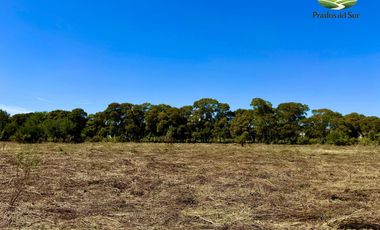 Terreno en Longchamps