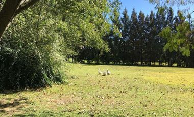 Venta - Chacra en General Madariaga - incluye hermosa casa campestre TOTALMENTE RECICLADA