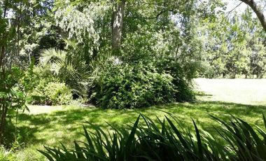 Venta - Chacra en General Madariaga - incluye hermosa casa campestre TOTALMENTE RECICLADA