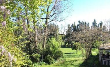 Venta - Chacra en General Madariaga - incluye hermosa casa campestre TOTALMENTE RECICLADA