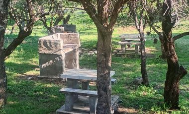 Cabañas y Restaurante con 8.000m2 de terreno en Cortaderas San Luis