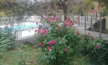 Cabañas y Restaurante con 8.000m2 de terreno en Cortaderas San Luis