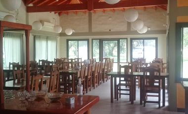 Cabañas y Restaurante con 8.000m2 de terreno en Cortaderas San Luis
