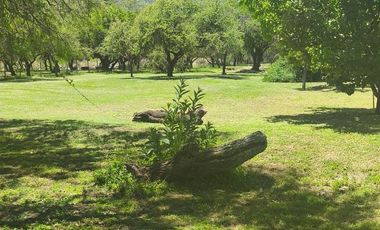 Cabañas y Restaurante con 8.000m2 de terreno en Cortaderas San Luis