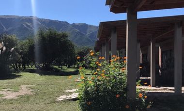 Cabañas y Restaurante con 8.000m2 de terreno en Cortaderas San Luis