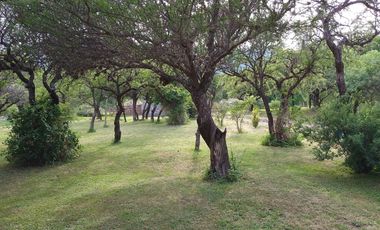 Cabañas y Restaurante con 8.000m2 de terreno en Cortaderas San Luis