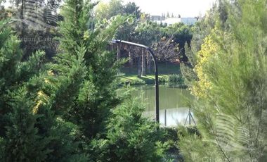 Departamento a la Venta y Alquiler en Jardines del Palmar