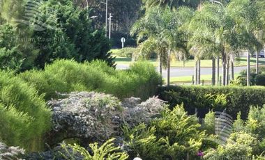Departamento a la Venta y Alquiler en Jardines del Palmar