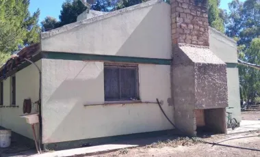 Chacra - Viedma