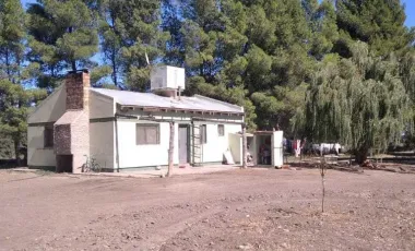 Chacra - Viedma