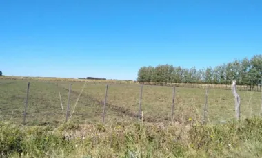 Chacra - Viedma