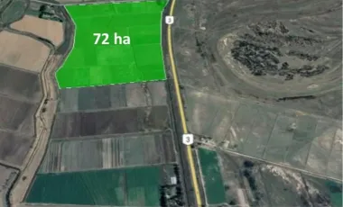 Chacra - Viedma