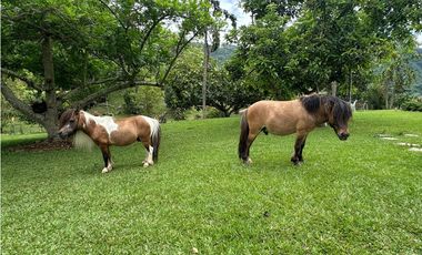 VENTA FINCA VENECIA, SUROESTE ANTIOQUEÑO