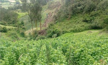VENDO LOTE VEREDA YANALA