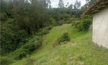 VENDO LOTE VEREDA YANALA