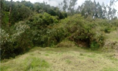 VENDO LOTE VEREDA YANALA