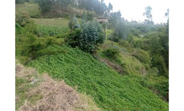 VENDO LOTE VEREDA YANALA