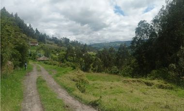 VENDO LOTE VEREDA YANALA