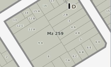 Terreno comercial en Centro (Zarate)
