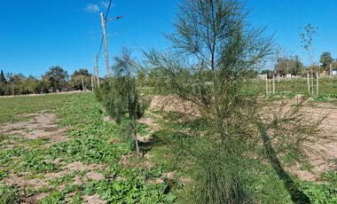 Venta Terreno Longchamps - Lote Barrio 