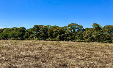 Terreno en Longchamps