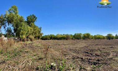 Terreno en Longchamps