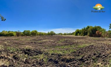 Terreno en Longchamps
