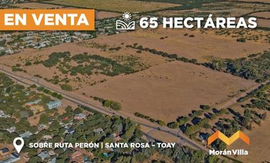 Chacra en Toay