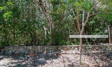 Lote 13 El Santuario