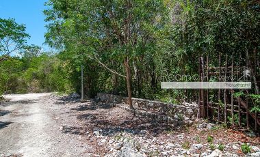 Lote 13 El Santuario