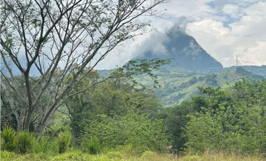 VENTA DE FINCA SIRIA SUROESTE ANTIOQUEÑO