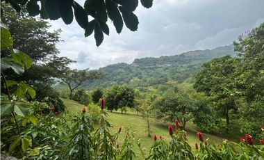 VENTA DE FINCA SIRIA SUROESTE ANTIOQUEÑO