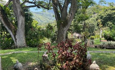 Venta de finca en la siria suroeste antioqueño