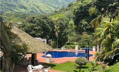 Venta de finca en la siria suroeste antioqueño