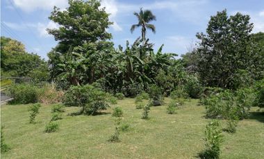 Venta de casa con amplio terreno en La Palma, San Carlos