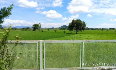 4 Bedroom House for sale in San Sai, Chiang Rai